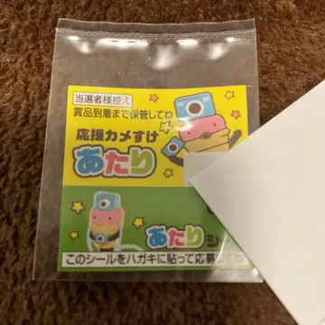 카메라 응원 씰 카메스케