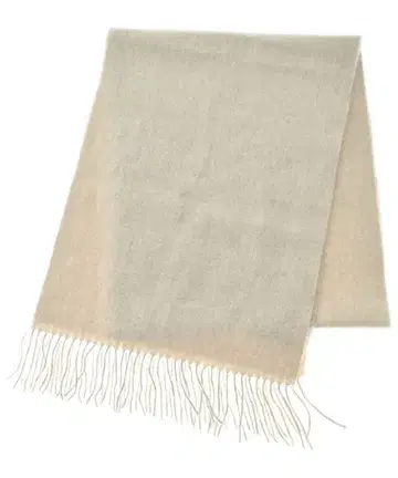 BEAUTY&YOUTH UNITED ARROWS 스톨 여성용