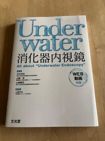 수중 소화기 내시경 수중 내시경