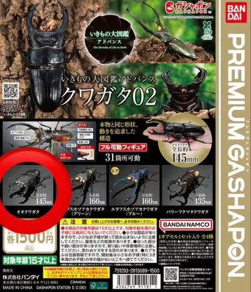 생물대도감 어드밴스 사슴벌레 02 오오쿠와가타