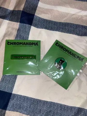 타일러 더 크리에이터 월드 투어 VIP 굿즈 핀즈 2종