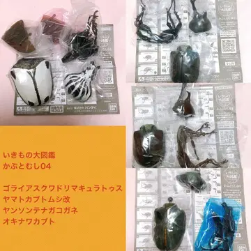 생물대도감 장수풍뎅이04 골리아스 야마토장수풍뎅이 개량 얀손테나가