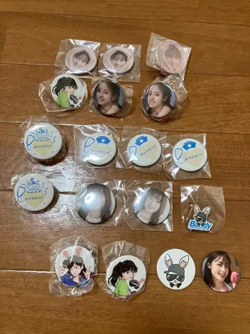 하시모토 칸나 하시모토 순정내과 캔 배지