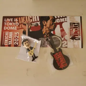 EKIICHI YAZAWA 2025 도쿄돔 키링 세트