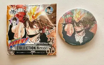 가정교사 히트맨 REBORN 컬렉션 캔뱃지 사와다 츠나요시 초츠나