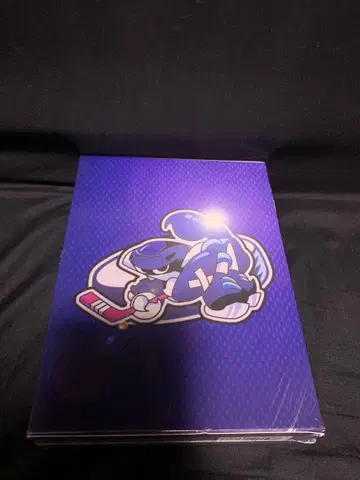 프라이드 DVD 4장 세트