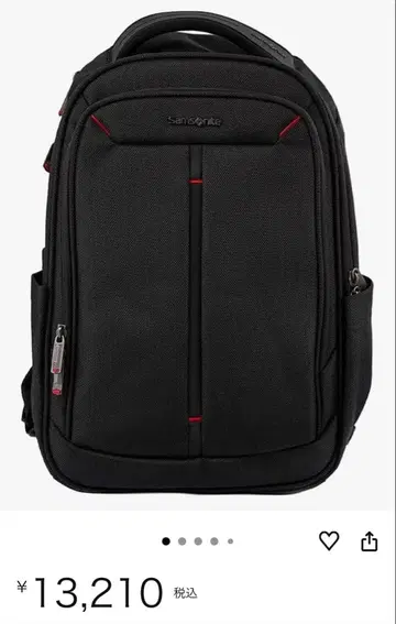 Samsonite 비즈니스 백팩