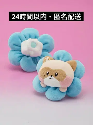 당일 발송 zb1 zeroni PLUSH BAND 하니니 장하오