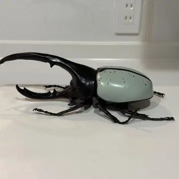 헤라클레스 장수풍뎅이 피규어 약 40cm