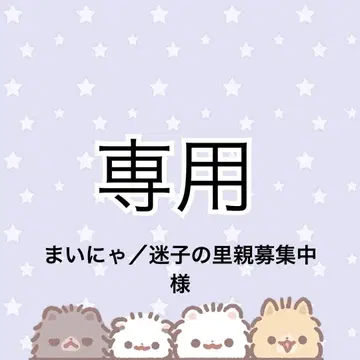 마이냐 / 길 잃은 아이 입양처 모집 중 님