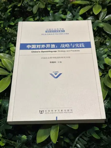 중국 대외 개방: 전략과 실천 / 국제 연구 CASS 국제 정치