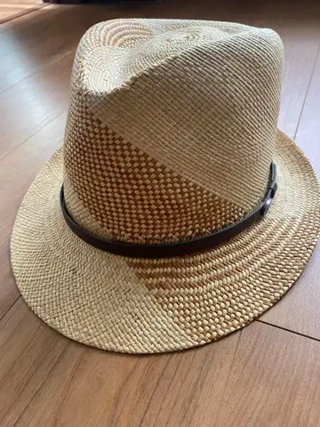 베일리 페도라 햇 베이지