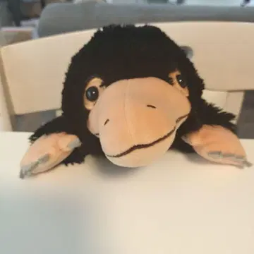 니플러 펀바루즈