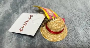 지브리 파크 모자 참 소피