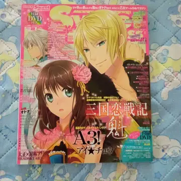 Sweet Princess 2017 vol.22 특전 DVD 포함