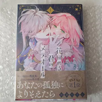 꽃 숨기는 너의 메테오르 1권