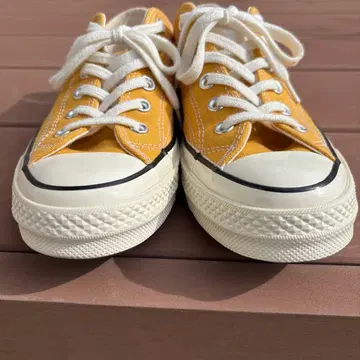 converse 척테일러 썬플라워 24.5cm