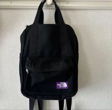 THE NORTH FACE PURPLE LABEL 백팩