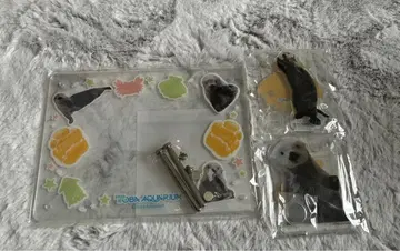 캡슐 복권 토바 수족관 랏코 메이짱 복권 리턴즈 키라짱 3종 세트