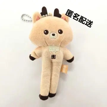 RIIZE 성찬 발길이 키링