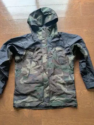 THE NORTH FACE 마운틴 자켓 고어텍스 goatex