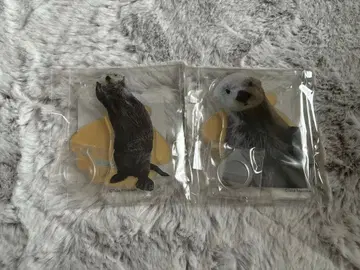 캡슐 복권 토바 수족관 랏코의 메이짱 복권 리턴즈 키라짱 2점 세트