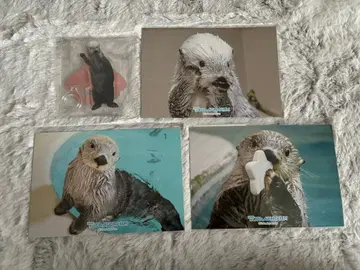 캡슐 복권 토바 수족관 랏코의 메이짱 복권 리턴즈 4점 세트