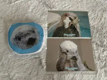 캡슐 복권 토바 수족관 랏코의 메이짱 복권 리턴즈 3종 세트