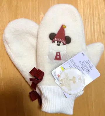 도쿄 디즈니 리조트 디즈니 크리스마스 2025 릴린린 미튼