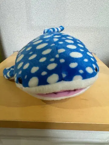 징베 상어 봉제 인형