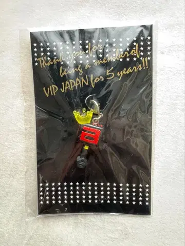 BIGBANG VIP 팬클럽 특전 응원봉 참 키링