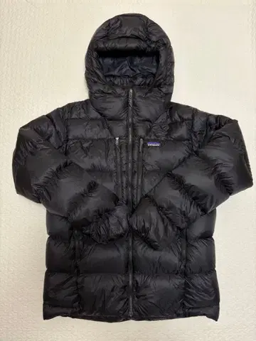 파타고니아 남성용 피츠로이 다운 후디