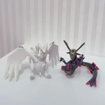 포켓몬 레시라무 레쿠자 몽콜레