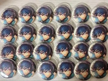 시노 캔뱃지 24개