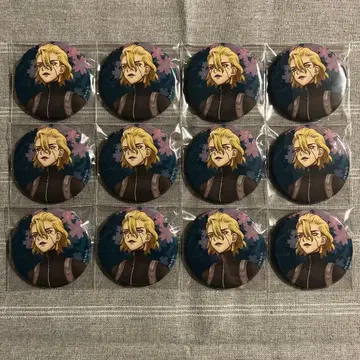 Dr.STONE 에테르노레시 꽃놀이 스탠리 캔뱃지