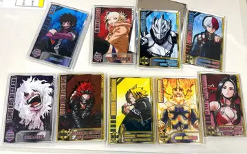 히로아카 스탯 카드 컬렉션