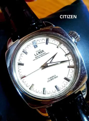 시티즌 클럽 라 메일 프로페셔널즈 수동 와인딩 남성용 손목시계 작동품