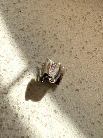 프뤼 데브리스 이어커프