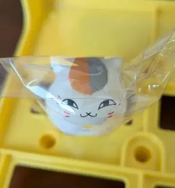 나츠메 우인장 냥코 선생님