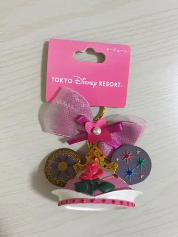 디즈니 2017 오로라 공주 이어햇 키링