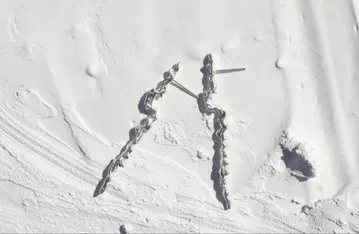 프뤼 파사르 귀걸이