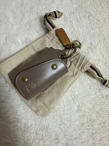 일비종떼 키케이스