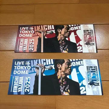 야자와 에이요시 도쿄돔 공연 메모리얼 티켓 2매