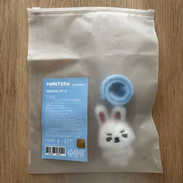 MINITEEN 데코밴드 에스쿱스 승철