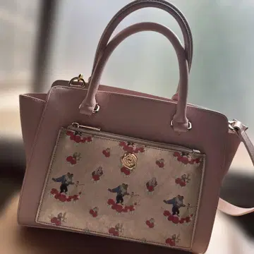 디즈니 미녀와 야수 커스텀 백