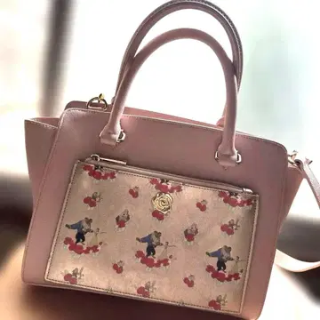 디즈니 미녀와 야수 백