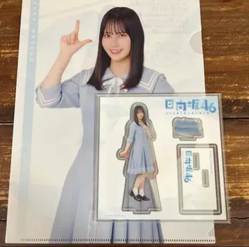 히나타자카46 마츠오 사쿠라 아크릴 스탠드 클리어 파일