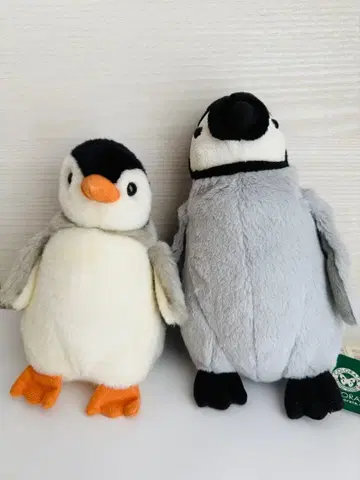 펭귄 봉제 인형 2종