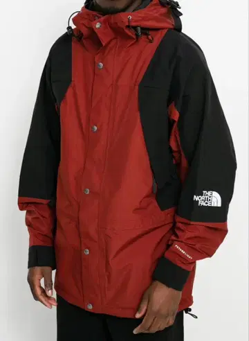 THE NORTH FACE 1994 2XL USA 기획 모델