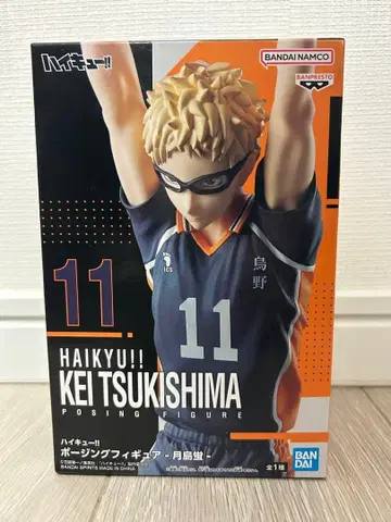 하이큐!! 츠키시마 케이 포징 피규어 11